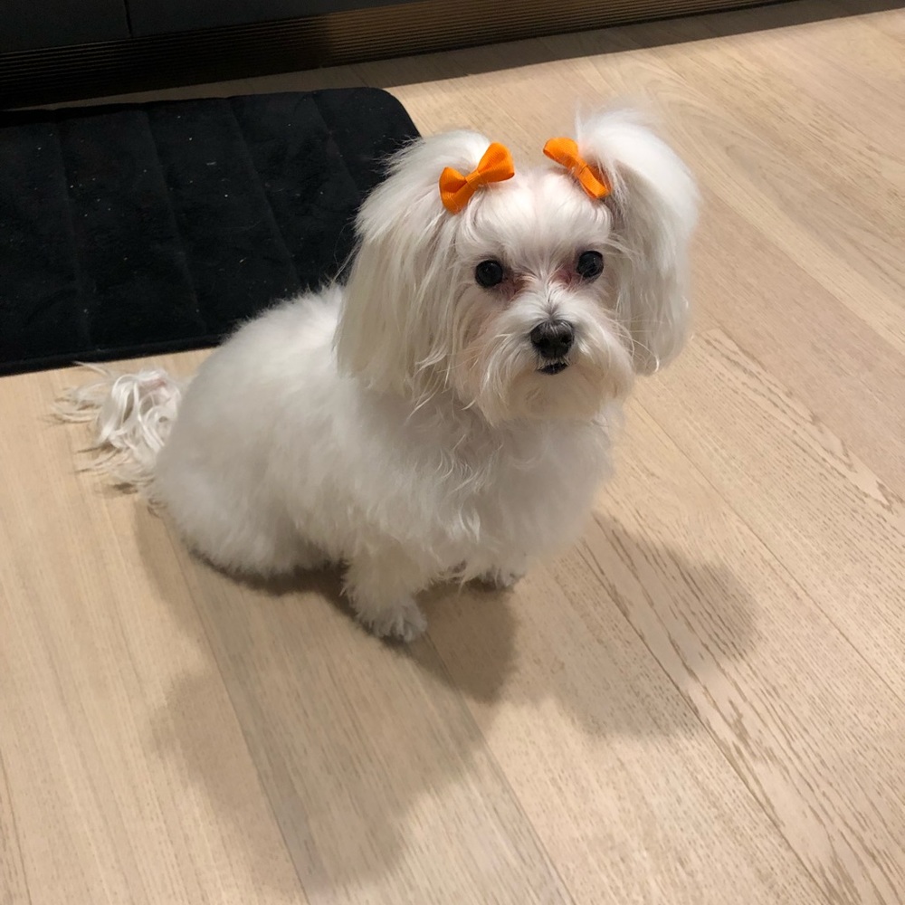 Meet your Posher, Ashley